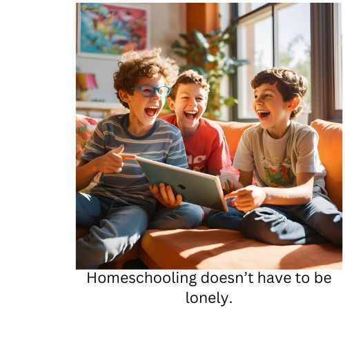 three Boys schooling at home.